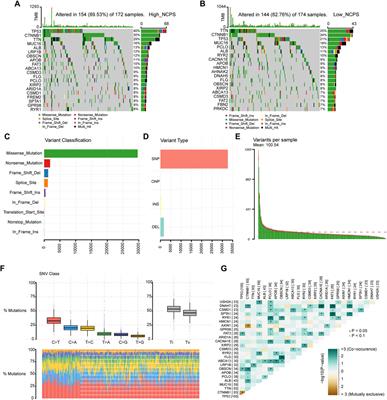 A necroptosis-related prognostic model for predicting prognosis, immune landscape, and drug sensitivity in hepatocellular carcinoma based on single-cell sequencing analysis and weighted co-expression network